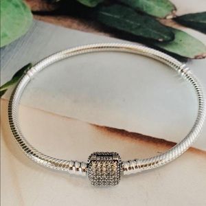 NEW! European Sterling Silver Charm Bracelet